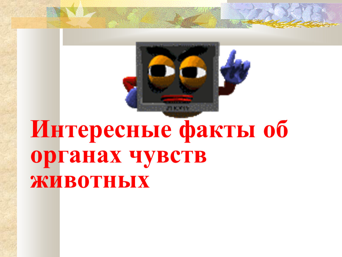 Интересные факты о органах чувств. Интересные факты об органах чувств животных. Органы чувств животных удивительные факты. Интересные факты об органах животных.