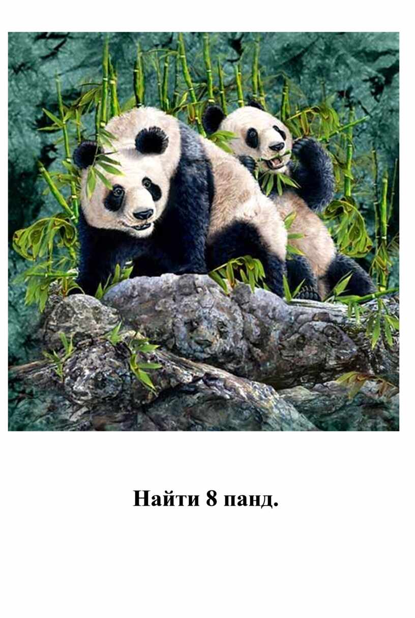 Сколько панд на картинке. Панда в джунглях. Панда в снегу. Количество панд по годам.
