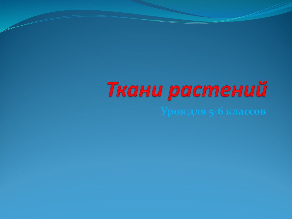 Ткани растений Урок для 5-6 классов