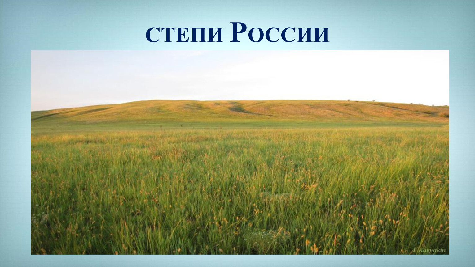 СТЕПИ РОССИИ