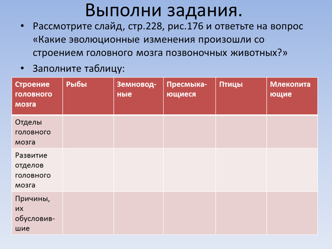 Таблица эволюции головного мозга