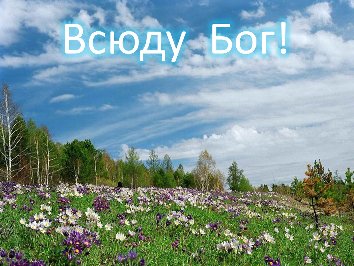 Конец мая песня. Весенняя природа России. Весенние пейзажи Сибири. Весенний пейзаж. Весенний пейзаж фото.
