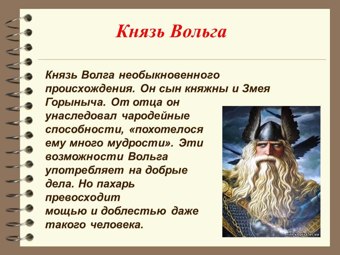 Князь какой жанр. Князь Вольга. Былина Вольга. Былинные персонажи.