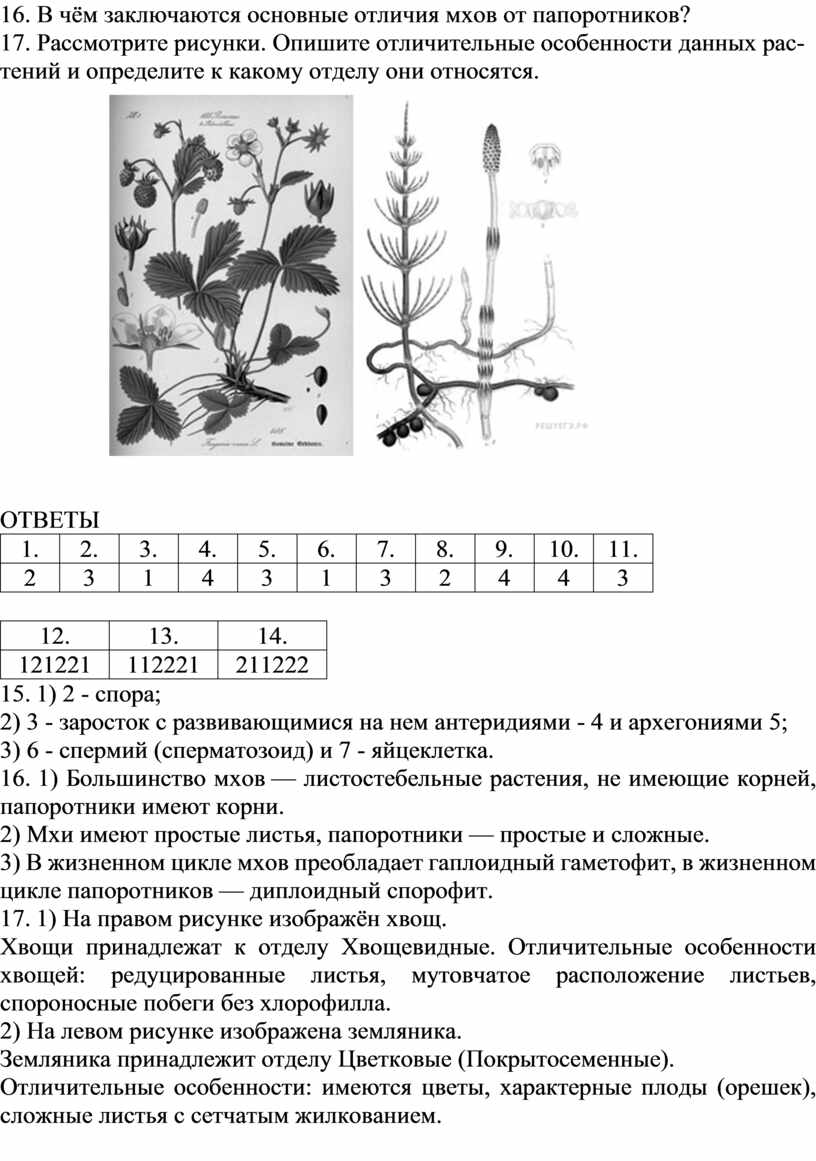 Карта контроля в доу организация прогулки