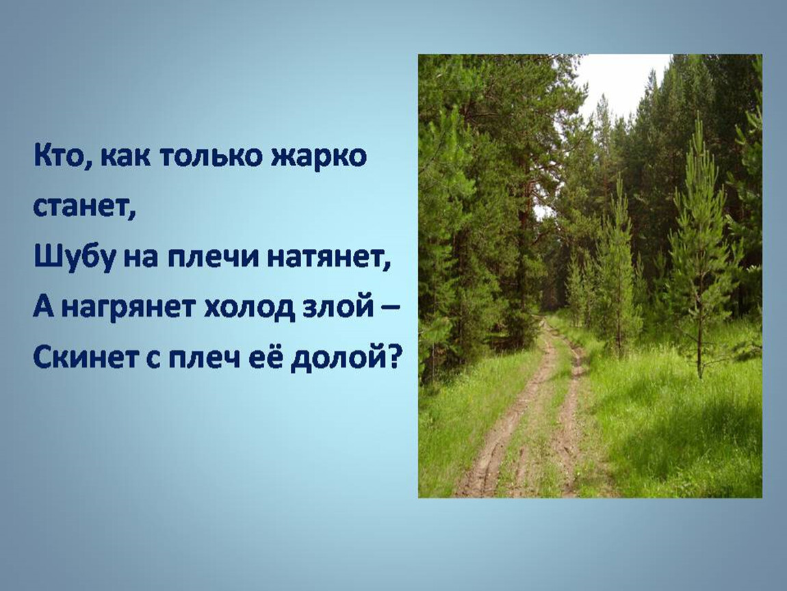 Как только жара спала в лесу. Кто как только жарко станет шубу. Кто как только жарко станет. Кто как только жарко станет шубу на плечи натянет а нагрянет холод. Загадка кто как только жарко станет шубу на плечи натянет.