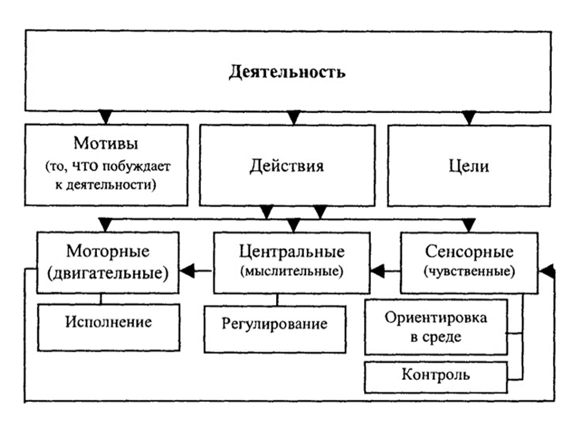 Свернутой схемой деятельности