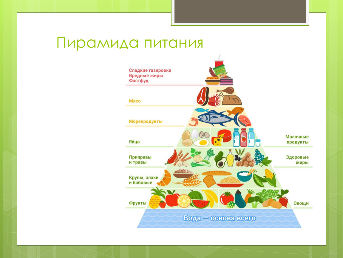 Укажите уровни пищевой пирамиды начиная с продуктов. Пирамида белки жиры углеводы. Пирамида дневного потребления продуктов питания. Пирамида здорового питания Гарвард. Пирамида питания здорового человека.