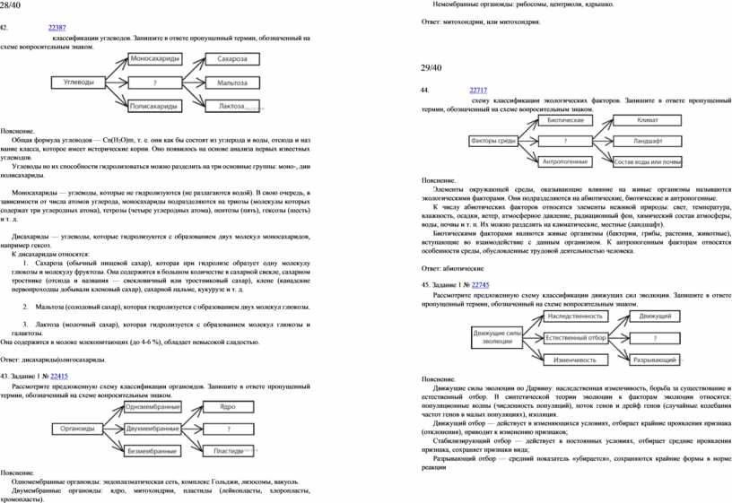 Запишите в ответе пропущенный термин, обозначенный на схеме вопросительным знаком