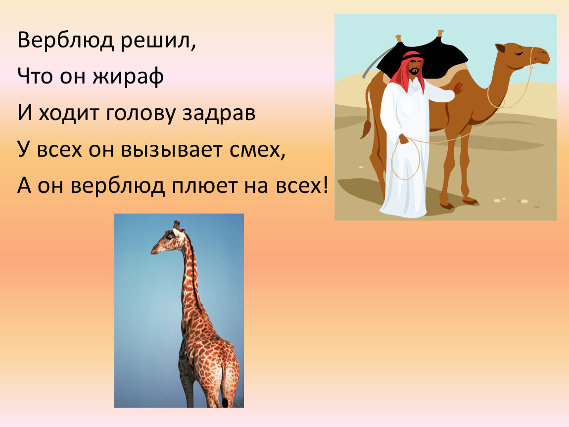 Буква верблюд. Верблюд решил что он Жираф и ходит голову задрав. Верблюд и Жираф. Верблюд решил что. Верблюд решил что он Жираф.