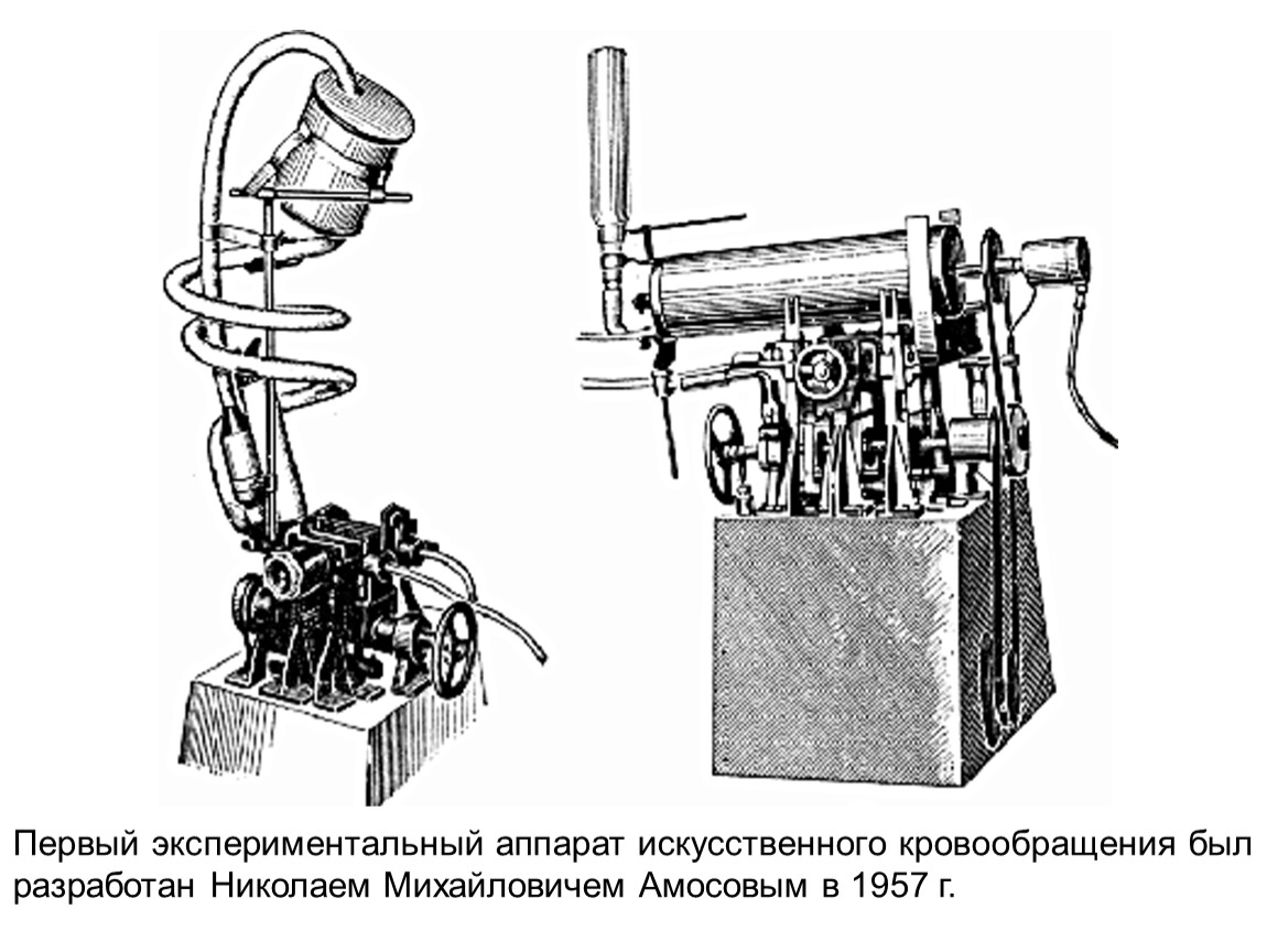 Первый в мире искусственный. Аппарат искусственного кровообращения автожектор. Оксигенатор Брюхоненко 1936. Аппарат искусственного кровообращения Брюхоненко. Аппарат искусственного кровообращения Брюхоненко схема.