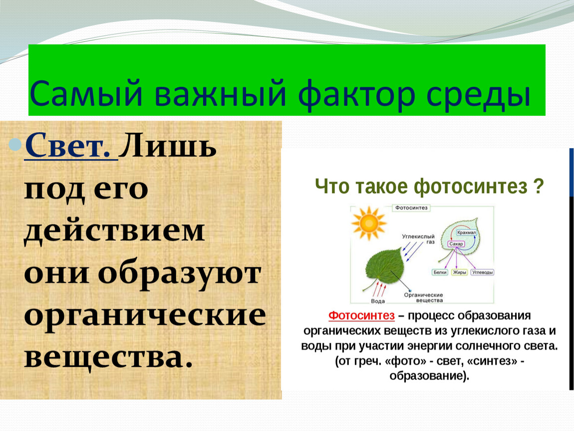 Света среда. Свет фактор среды. Факторы световой среды. Солнечный свет является фактором среды. К наиболее важным физическим характеристикам световой среды.