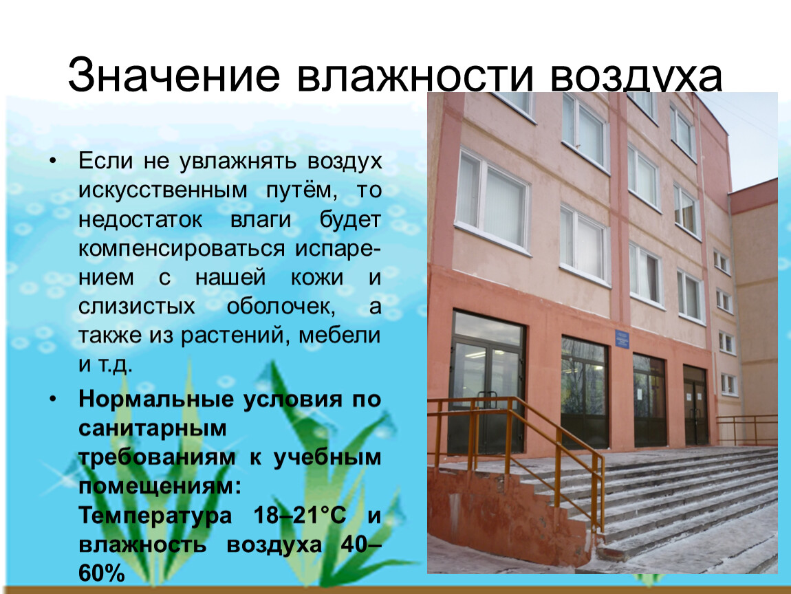 5 значение влажности. Значение влажности воздуха. Значение влажности воздуха в жизни человека. Значение влажности воздуха в нашей жизни. Значение влажности для растений.