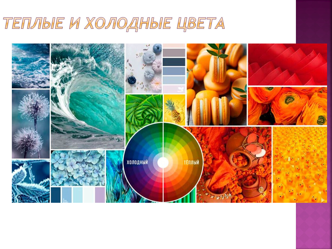 Теплые цвета и холодные сочетание. Теплые цвета и холодные сочетание