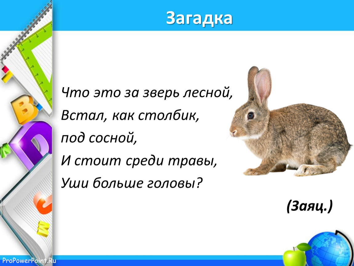 Продолжить зайчик. Загадки про животных заяц. Загадка про зайца. Загадка про зайца для детей.