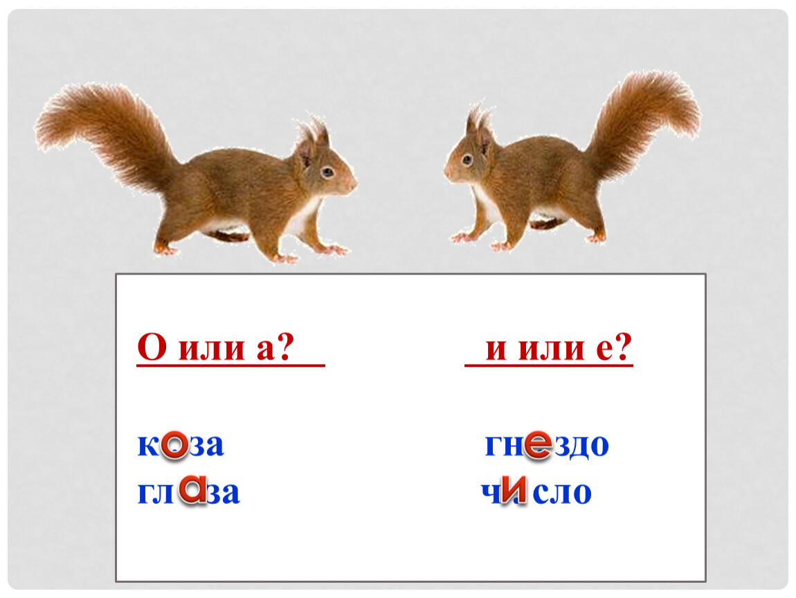 О или об. Или. 1 Класс о или а. Оили. Обозначение звуков 1 класс школа России.