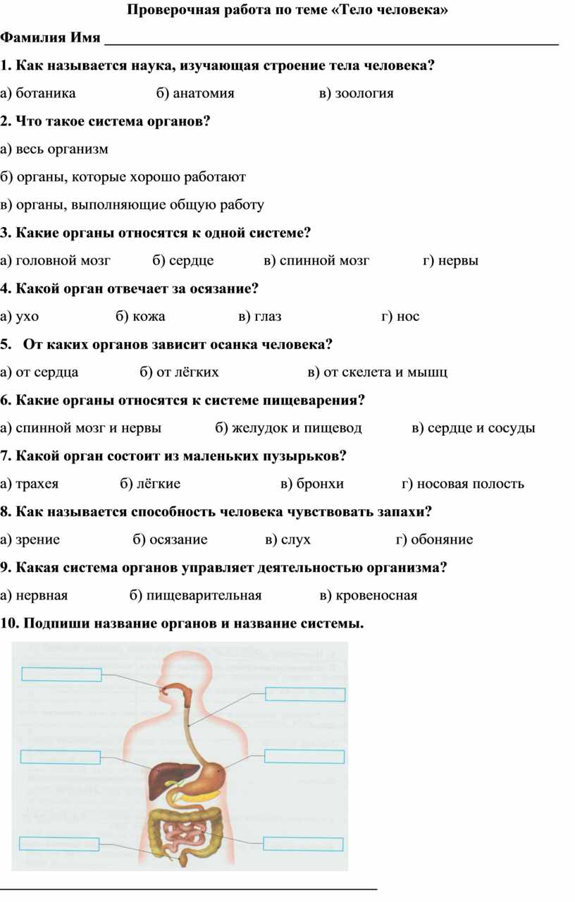 Проверочная работа по теме организм человека 3 класс. Контрольная работа по окружающему миру 3 класс организм человека. Организм человека на контрольную работу по окружающему миру. Организм человека 3 класс окружающий мир проверочная работа.