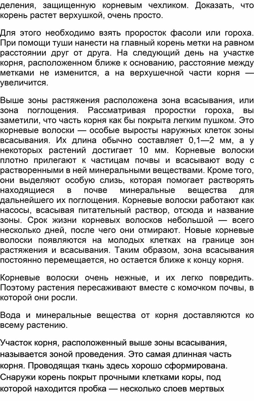 Доказать, что корень растет верхушкой, очень просто