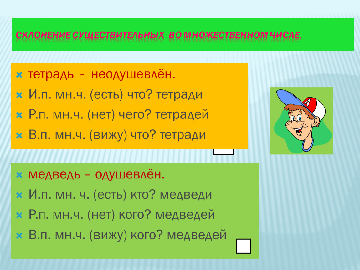 Склонение существительных в форме множественного числа