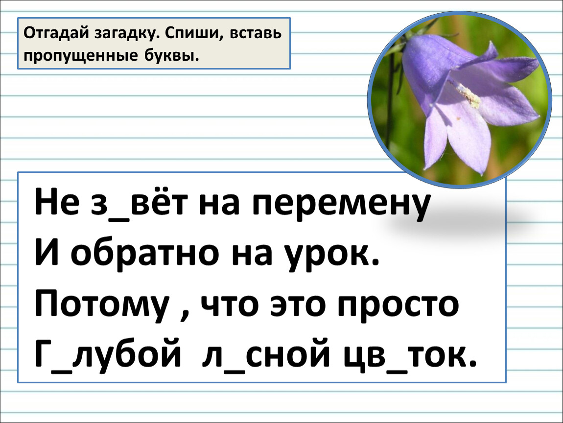 Спишите вставьте пропущенную безударную гласную. Списать загадки. Отгадай загадки вставь пропущенные буквы. 2 Класс. Задание 1 класс отгадайте и спишите загадку язык. Отгадай загадку и Спиши в тетрадь.