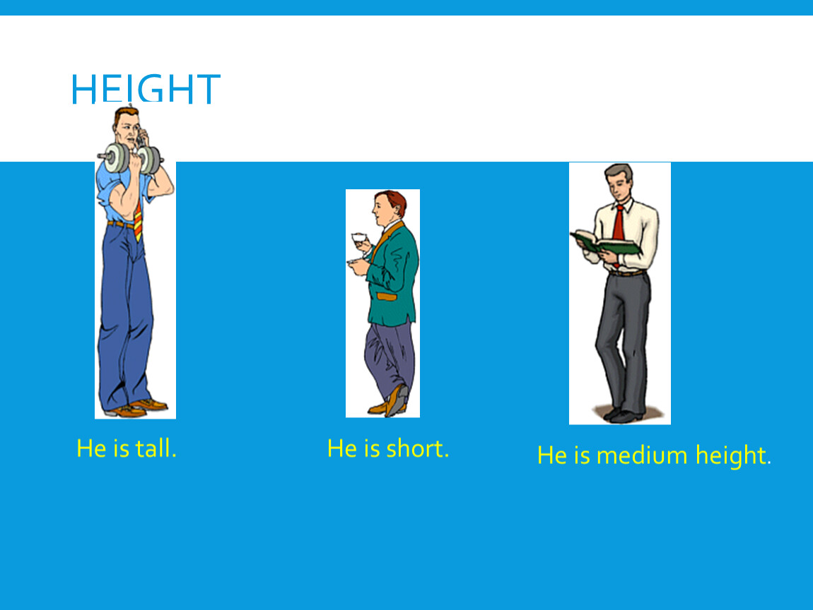 Standing tall перевод. Tall short Medium height. He is of Medium height. Medium height. Taller перевод.