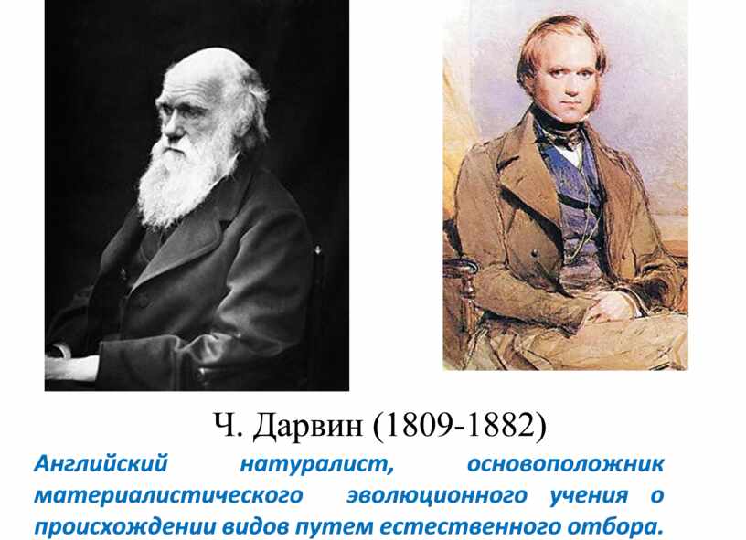 Основоположник эволюционного учения был. Линней и Дарвин. Основоположник теории эволюции. Основоположник эволюционного учения. Ч. Дарвин – основоположник учения об эволюции..