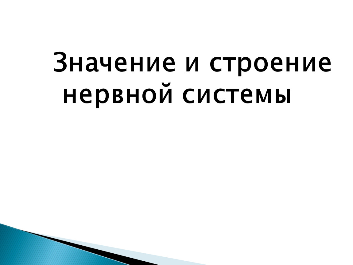 Значение и строение нервной системы презентация 8 класс