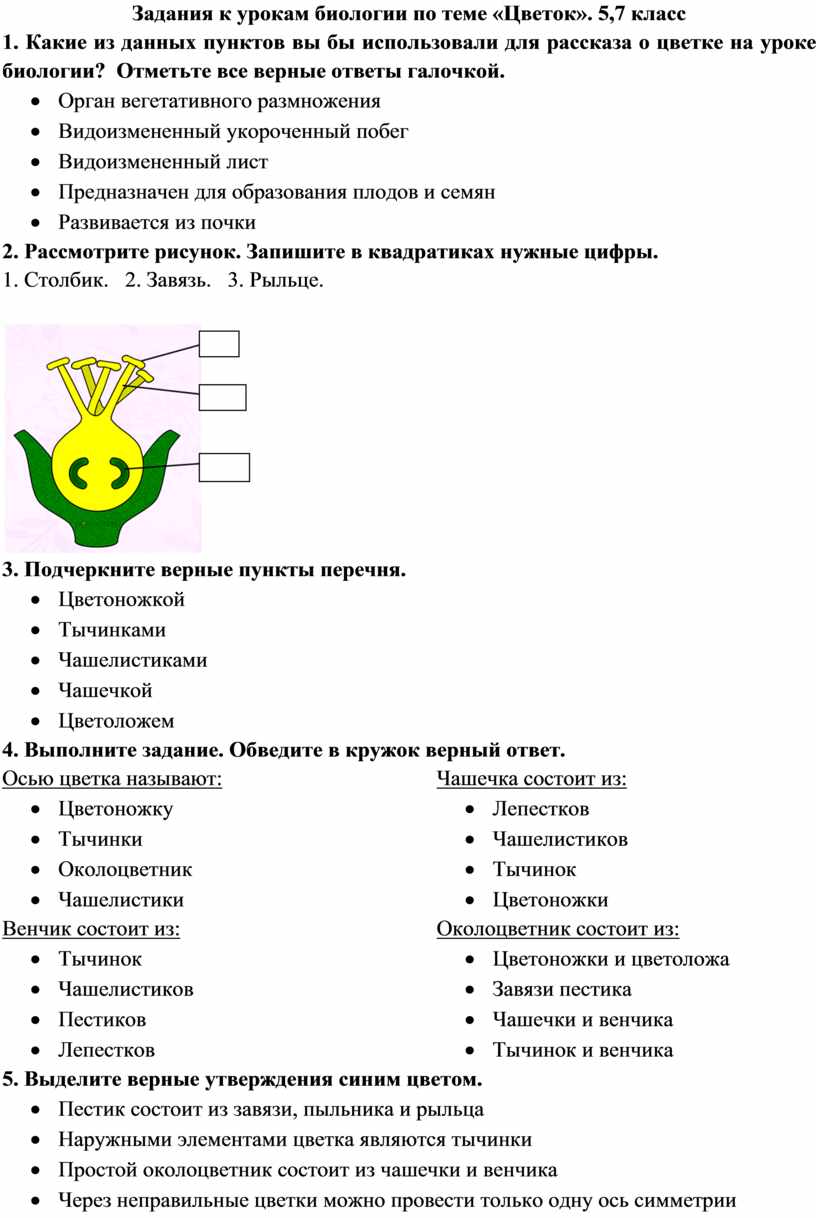 Задания по теме 