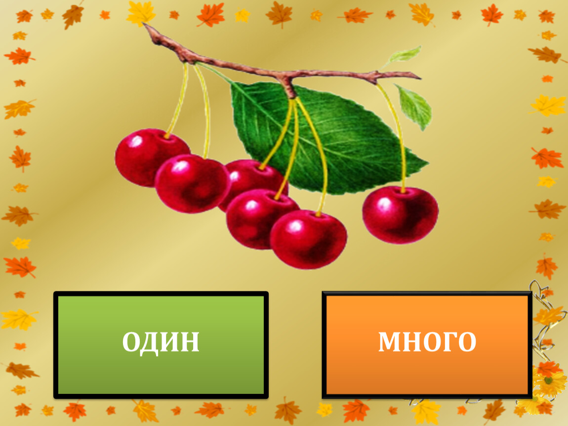 Один много для детей 4 лет. Один - много. Игра один много. Презентация один много для дошкольников. Игра один много для дошкольников.