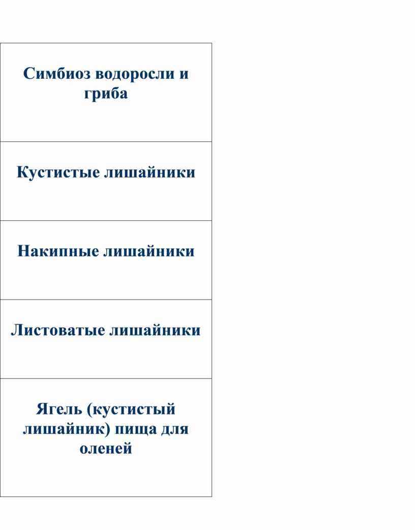 Конспект урока по биологии 5 класс 