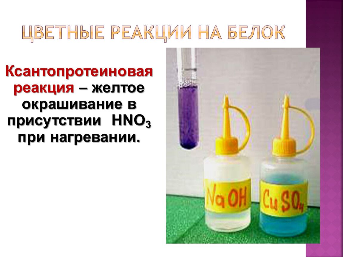 Цветные реакции. Цветные реакции на белок ксантопротеиновая. Цветные реакции на белки ксантопротеиновая реакция. Качественные реакции на белки цветные реакции. Качественные реакции на белки ксантопротеиновая.