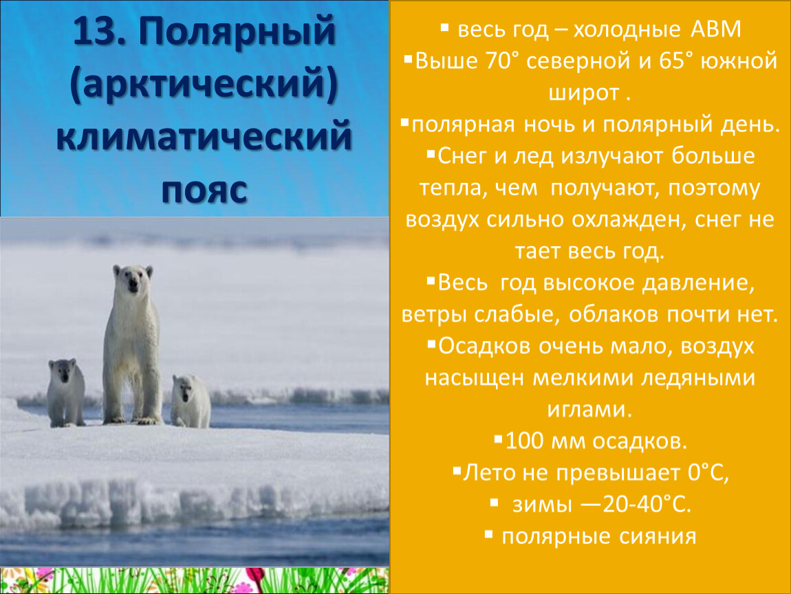 Арктический пояс климат. Арктический климатический пояс. Полярный климатический пояс. Описание арктического климата. Арктический климатический пояс Арктический климат.