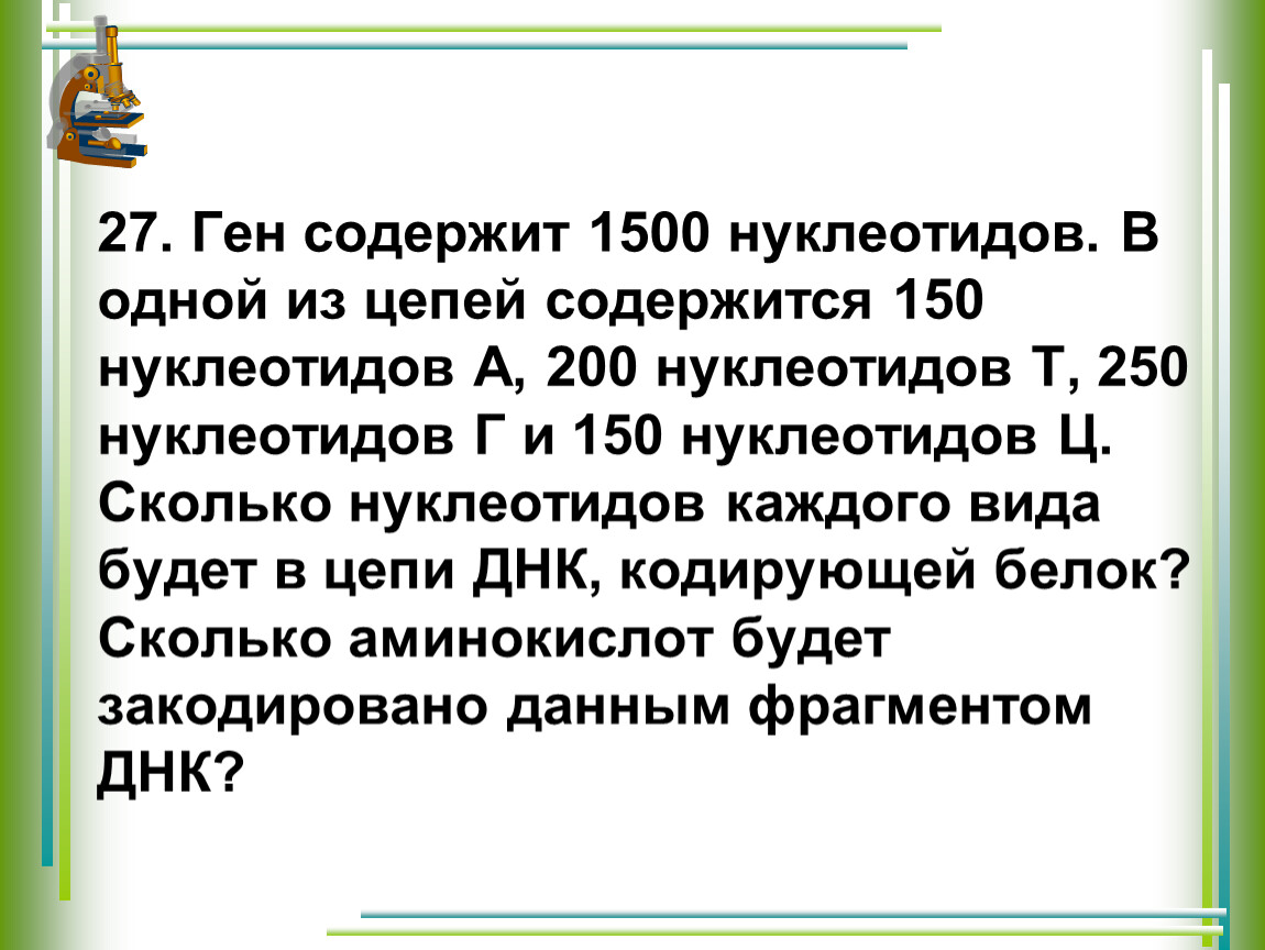 Ген содержит 1500 нуклеотидов. Сколько аминокислот кодирует 150 нуклеотидов. В кодирующей цепи Гена содержится 120 нуклеотидов а 160 нуклеотидов.