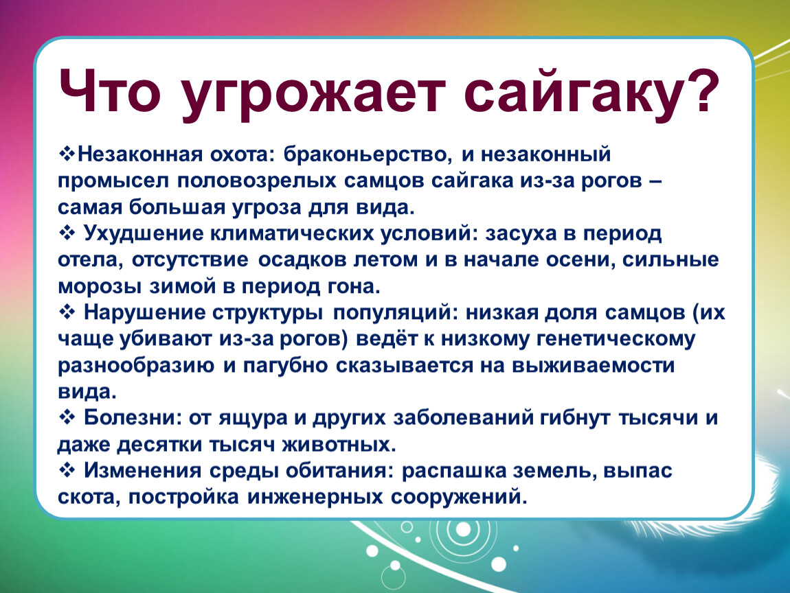 Какой совет дали бы. Листовка сохраним сайгака вместе. Сохраним сайгака вместе 2021 Республиканский. Агитбригада на тему сохраним сайгака вместе. Призыв к сохранению сайгаков.