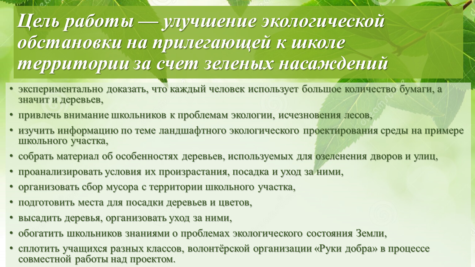 Разработка проекта по улучшению местной экологической обстановки