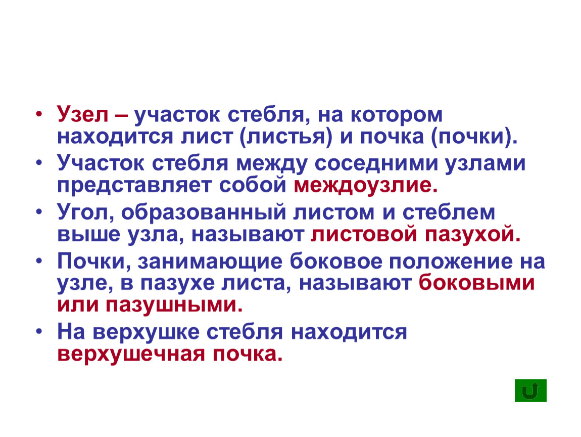 Участок стебля между узлами. Участок стебля на котором находится лист. Участки стебля между соседними узлами называют. Узел это участок стебля. Это участок стебля от узла до узла.