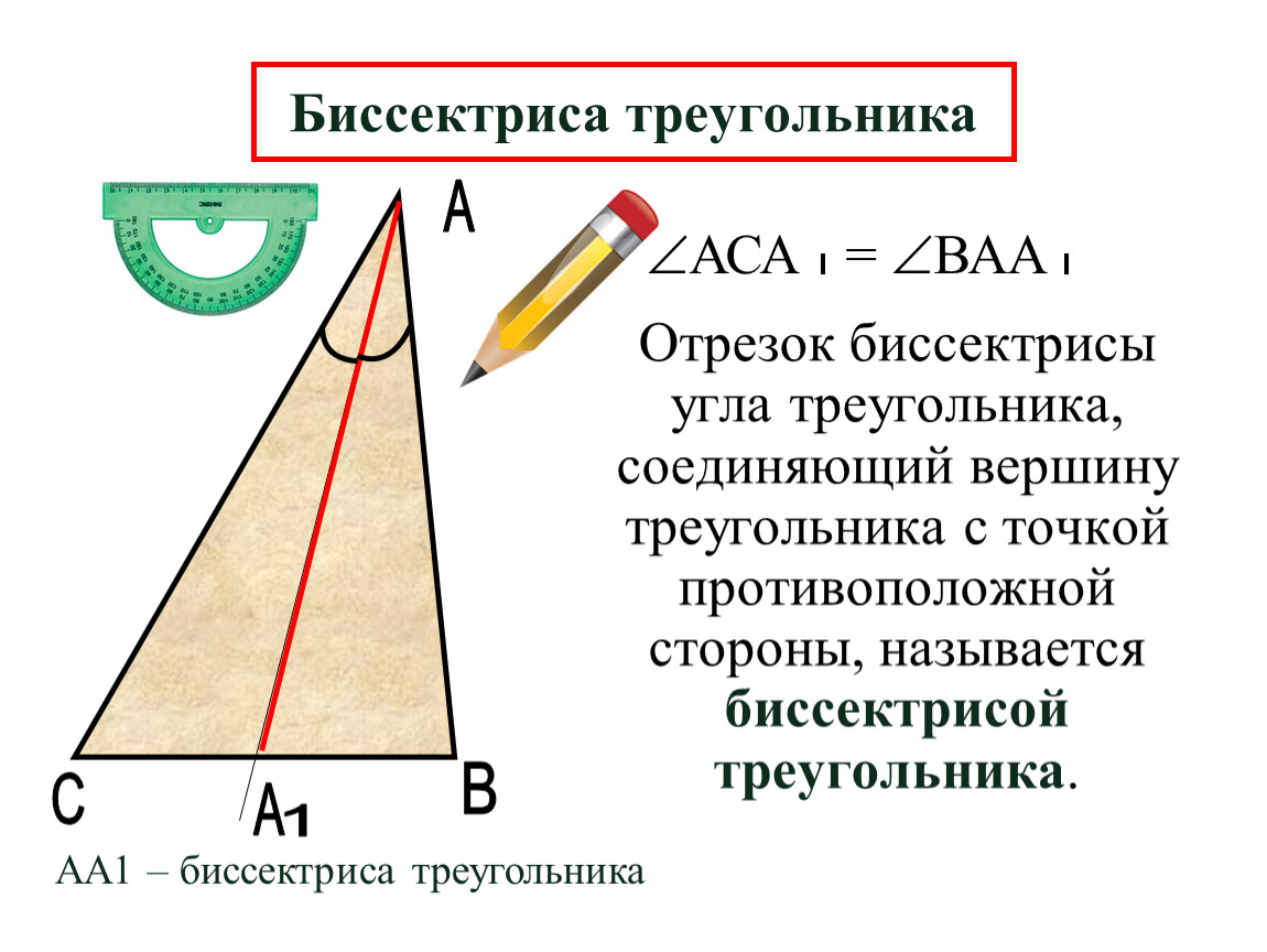 Роль биссектрисы в геометрии