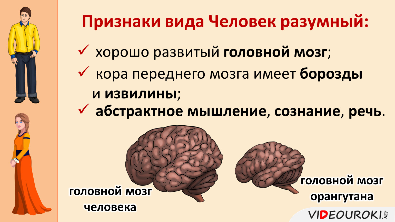 Презентация биология 8 класс сознание мышление речь