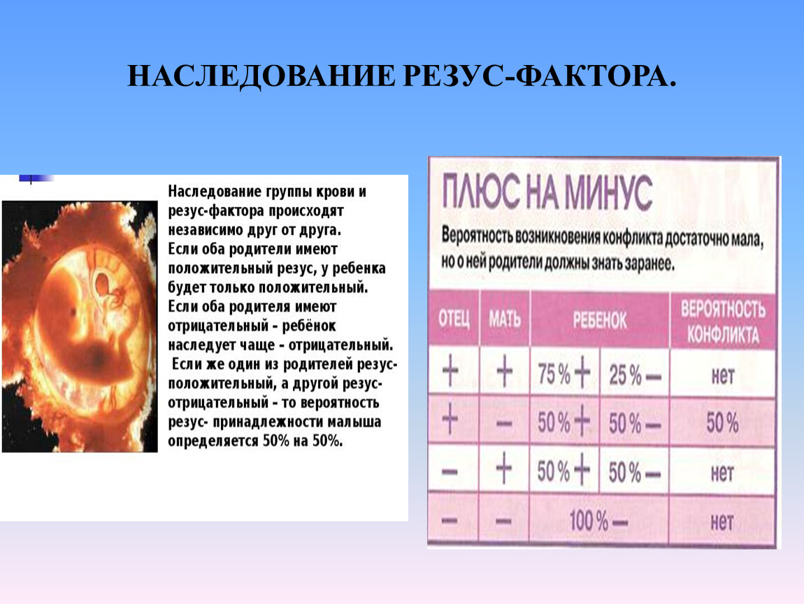 Презентация группа крови резус фактор