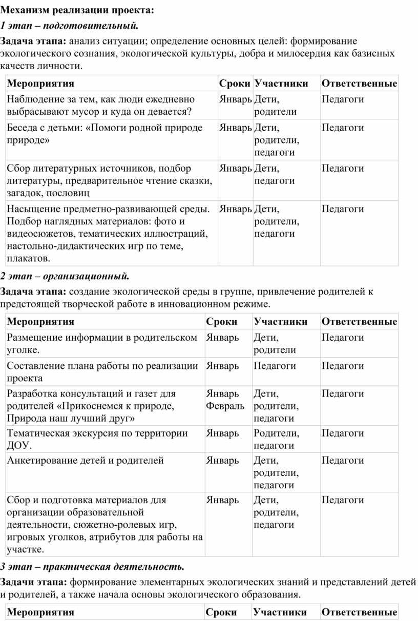 Механизм реализации проекта