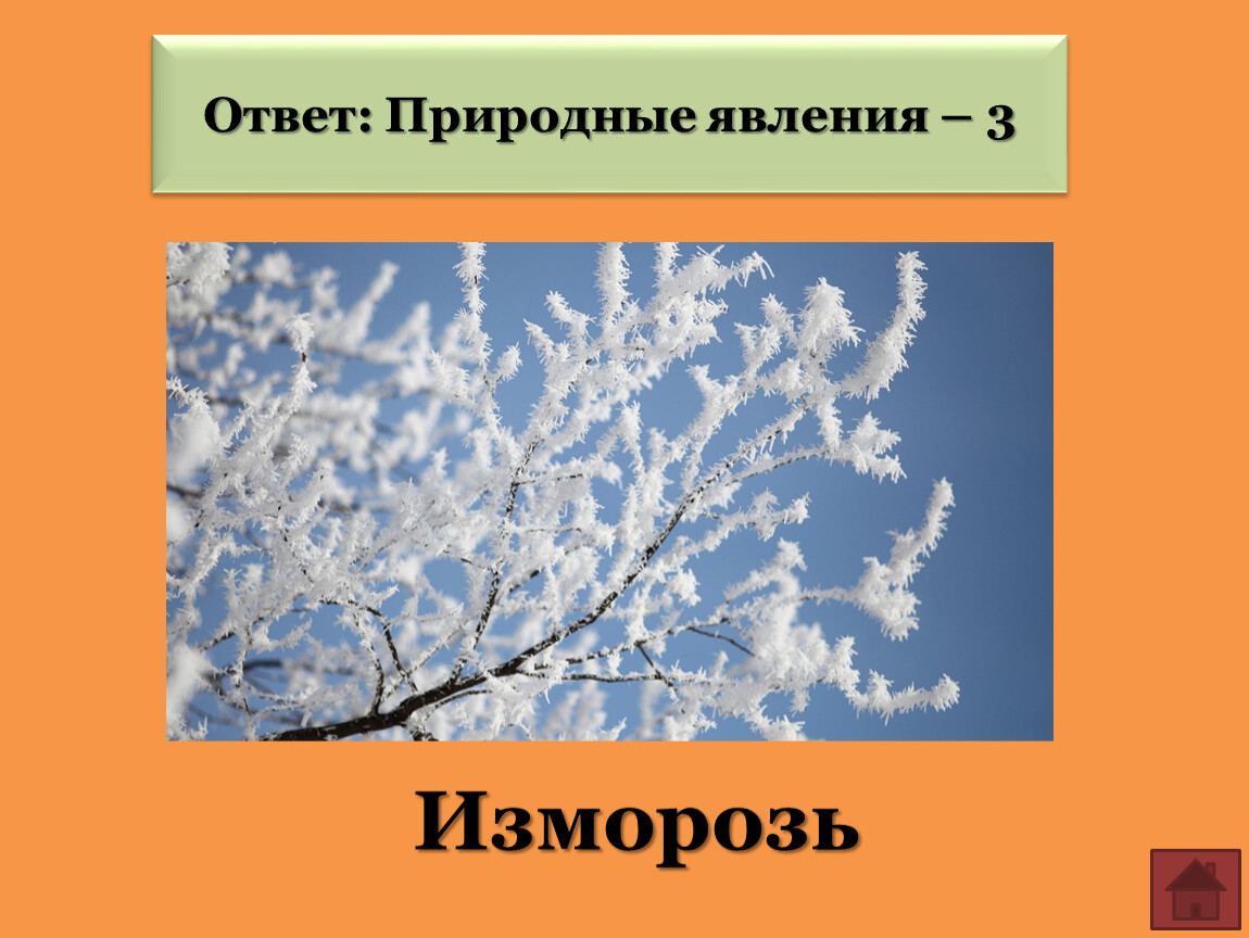 Зимние явления природы 2. Природное явление изморозь. Зимние явления в природе изморозь. Осенние и зимние явления природы. Изморозь это для детей.