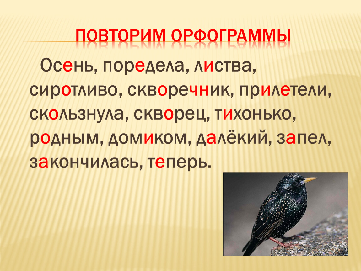 Текст скворцы. Осень поредела на березах листва изложение 3. Изложение скворцы. Изложение осень 3 класс. Изложение на тему скворец прилетел.