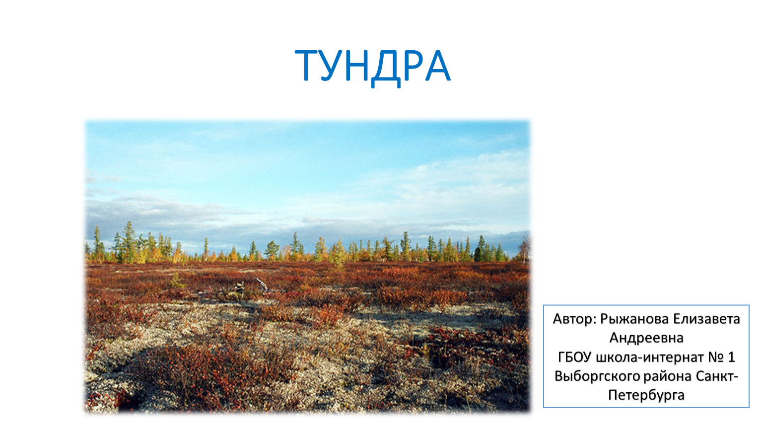 Тундра природная зона 5 класс. Тундра природная зона. Тундра Западно-сибирской равнины. Природные ресурсы тундры. Природная зона тундра растения.