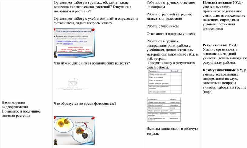 Демонстрация видеофрагмента Почвенное и воздушное питания растения