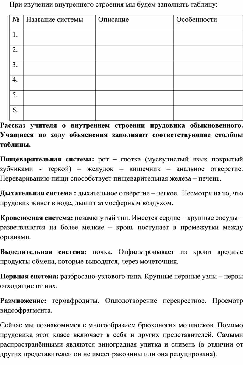 При изучении внутреннего строения мы будем заполнять таблицу: №