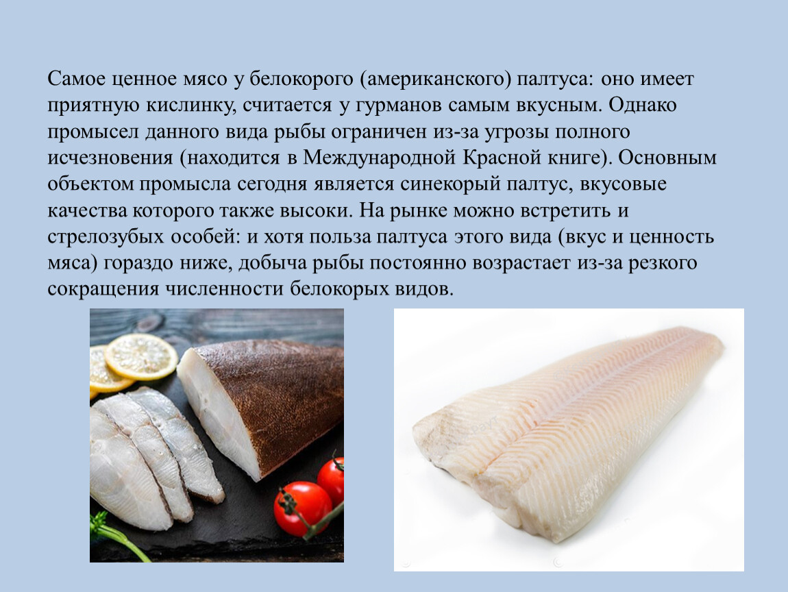 Исследовательский проект: Рыба и морепродукты Палтус