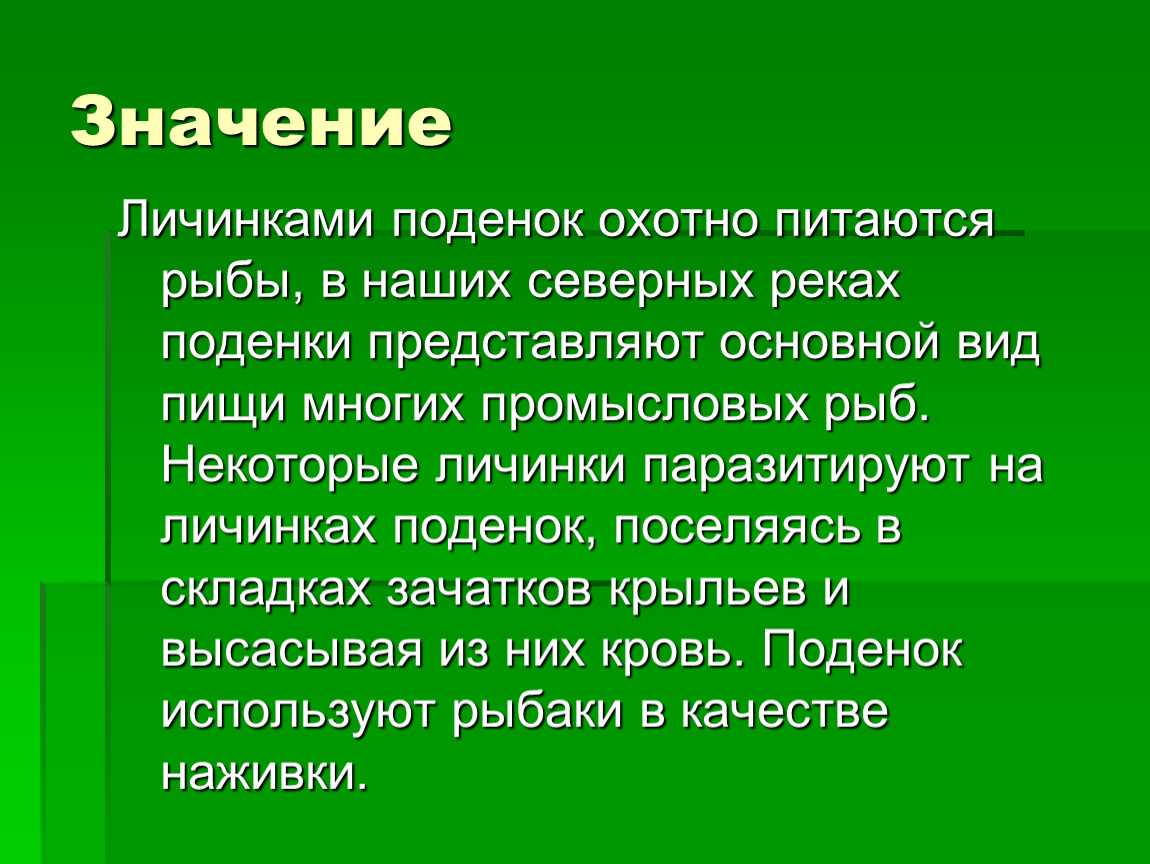 Что значит сердцевина. Презентация биология поденки презентация. Поденки общая характеристика кратко. Отряд поденки представители. Презентация на тему поденки по биологии.