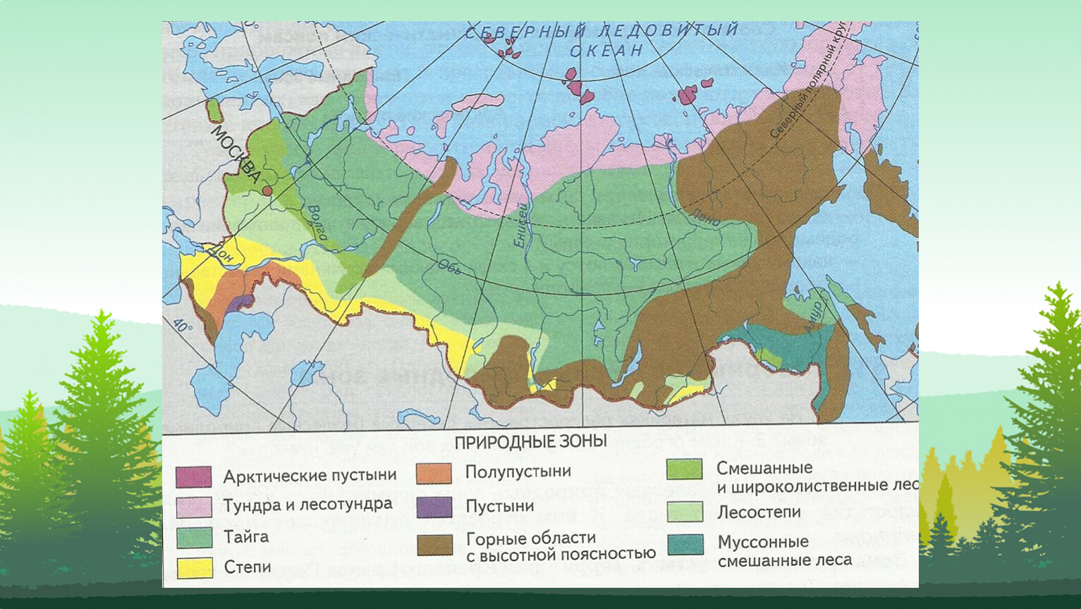 Природная зона занимающая 40