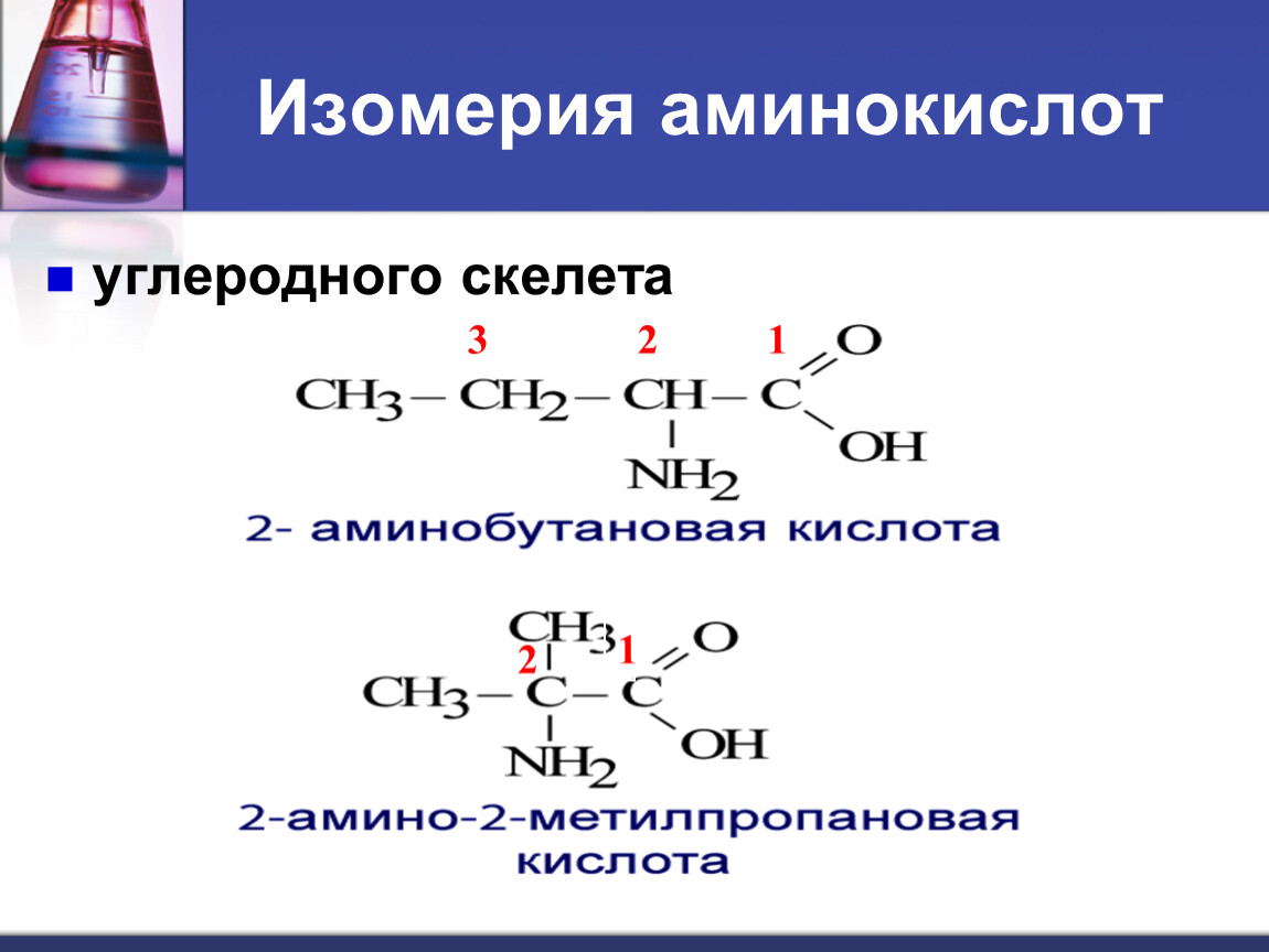 1 2 аминобутановая кислота. Изомерия углеродного скелета аминокислот. Изомеры углеродного скелета аминокислот. Изомерия углеродного скелета 2 аминопропановой кислоты. Типы изомерии аминокислот.