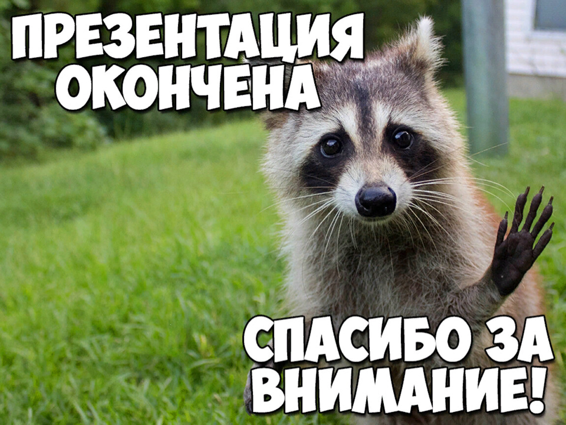 Смешная картинка спасибо за внимание. Спасибо за внимание. Спасибо за внимание для презентации. Спасибо за внимание енот. Спасибо за внимание Енотик.