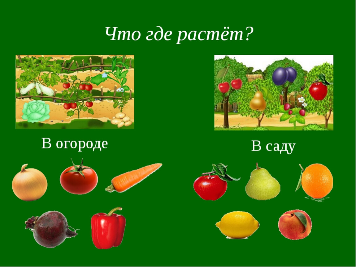 Презентация для дошкольников по теме овощи и фрукты